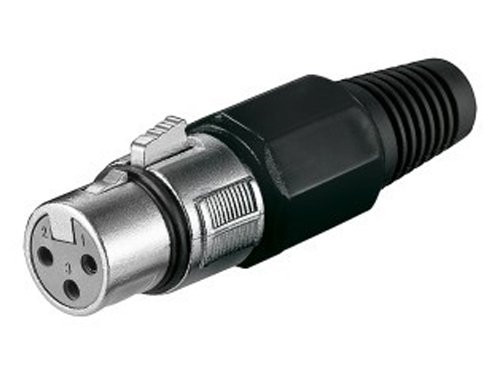Cannon XLR contra plug