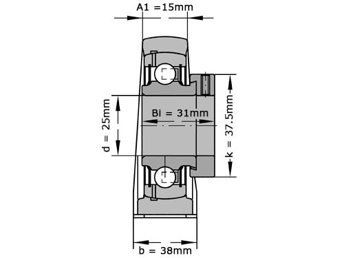 INA Lagerblok Staand PASE25 TV FA125.5 (25mm)