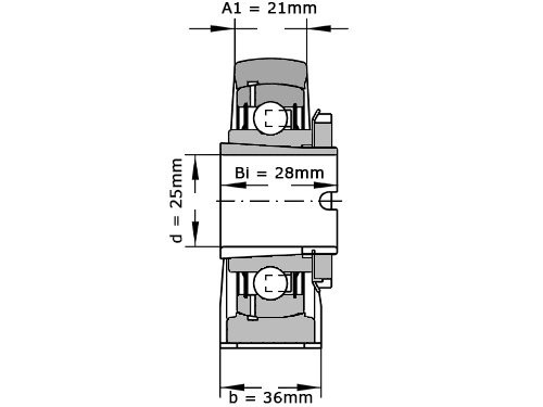 INA Lagerblok Staand RASEA25 N (25mm)