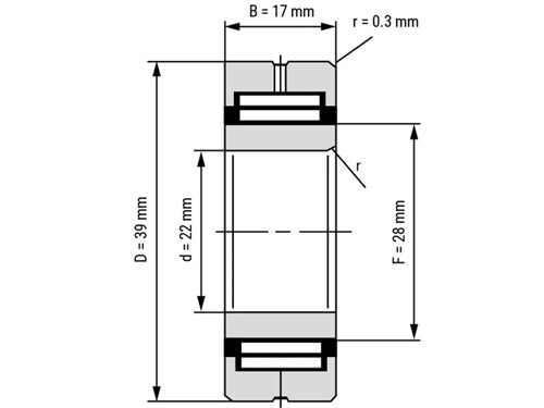 IBB Naaldlager Met Binnenring NA 49/22 (22x39x17mm)
