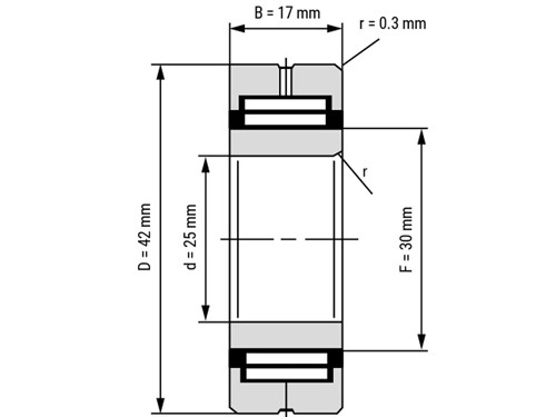 IBB Naaldlager Met Binnenring NA 4905 (25x42x17mm)
