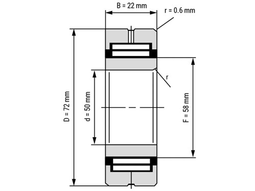 IBB Naaldlager Met Binnenring NA 4910 (50x72x22mm)