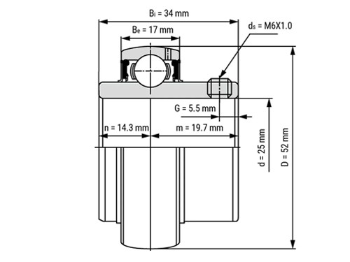 IBB Insert Lager UC205 RVS (25x52x34.1mm)