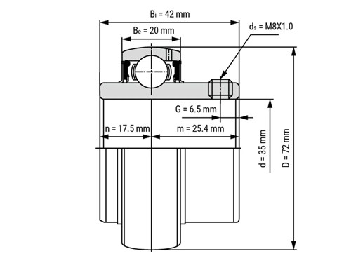 IBB Insert Lager UC207 RVS (35mm)