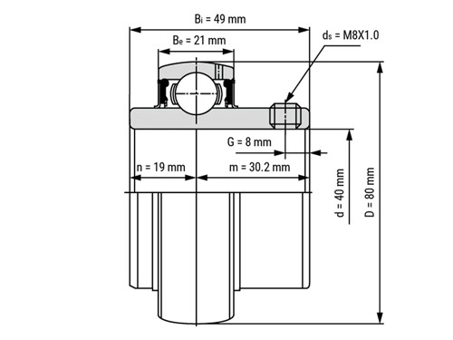 IBB Insert Lager UC208 RVS (40mm)