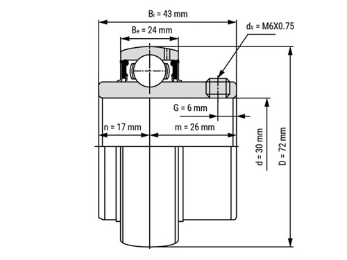 IBB Insert Lager UC306 (30mm)