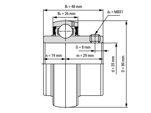 IBB Insert Lager UC307 (35mm)