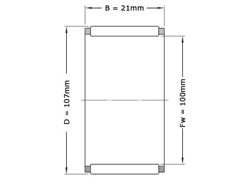 NTN Naaldlager K100X107X21 (100x107x21mm)