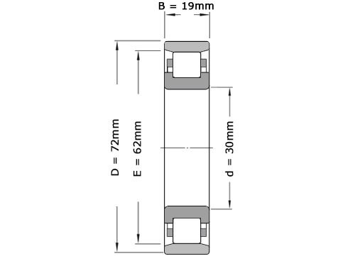 NSK Cilinderlager Eenrijig N306 W (30x72x19mm)