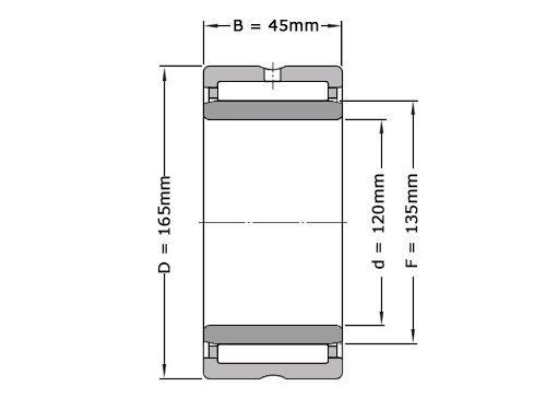 INA Naaldlager Met Binnenring NA4924 C3 (120x165x45mm)