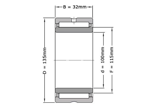 INA Naaldlager Met Binnenring NKIS100 (100x135x32mm)