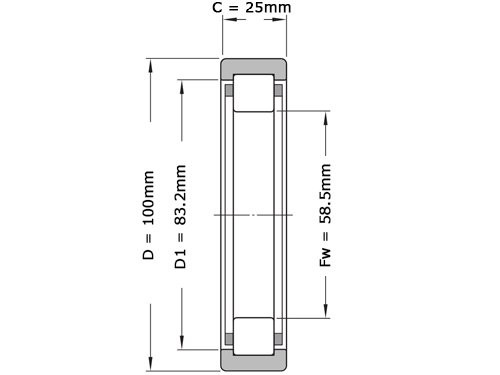 SKF Cilinderlager Eenrijig RNU309 ECP (58.5x100x25mm)