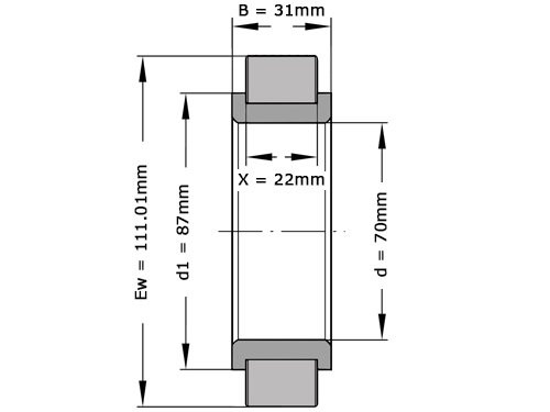 INA Cilinderlager Eenrijig RSL182214 (70x110.01x31mm)
