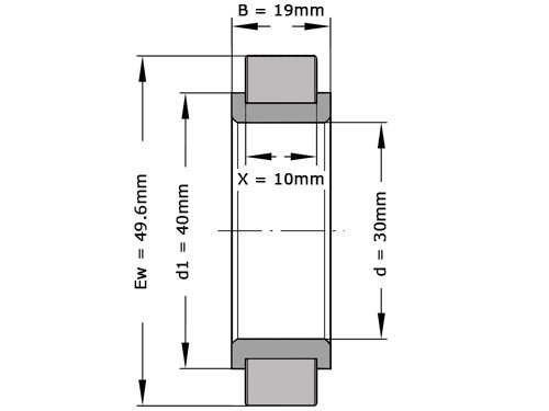 INA Cilinderlager Eenrijig RSL183006 (30x49.6x19mm)