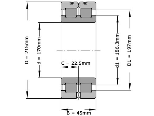 Foto van INA Cilinderlager Tweerijig SL014834 (170x215x45mm) INA Cilinderlager Tweerijig SL014834 (170x215x45mm)