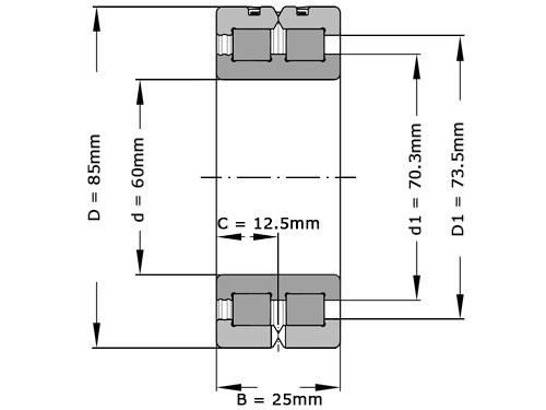 INA Cilinderlager Tweerijig SL014912 C3 (60x85x25mm)