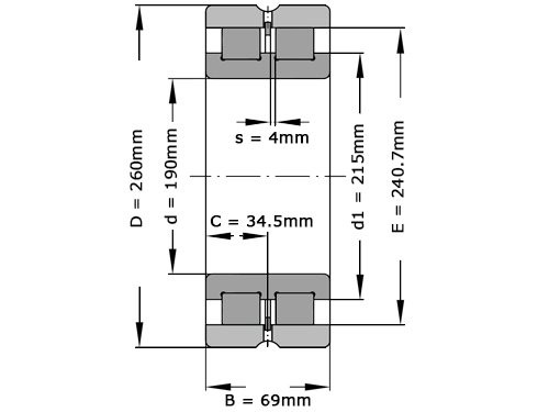 INA Cilinderlager Tweerijig SL024938 A (190x260x69mm)