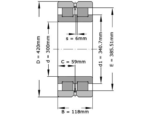 INA Cilinderlager Tweerijig SL024960 (300x420x118mm)