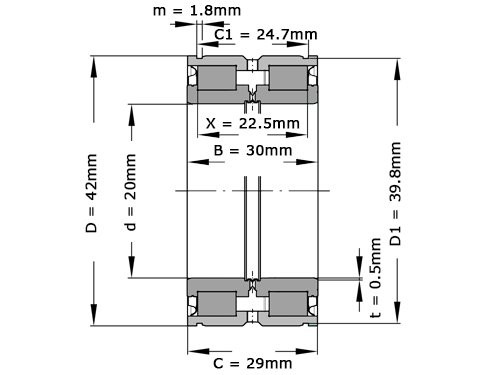 INA Cilinderlager Tweerijig SL045004 C3 (20x42x30mm)
