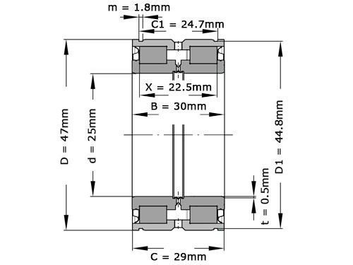 INA Cilinderlager Tweerijig SL045005 PP 2NR (25x47x30mm)