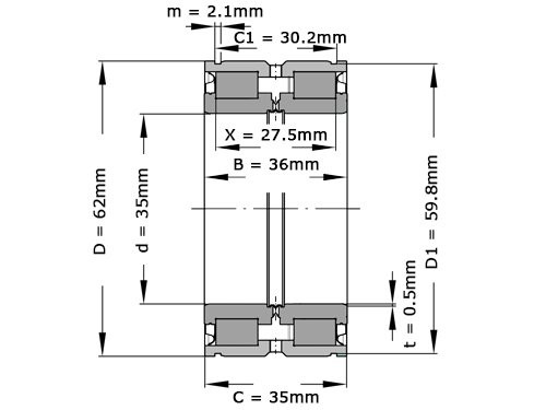 INA Cilinderlager Tweerijig SL045007 PP 2NR (35x62x36mm)