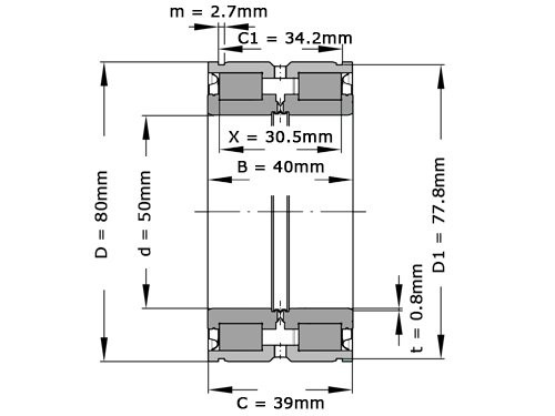 INA Cilinderlager Tweerijig SL045010 PP 2NR (50x80x40mm)