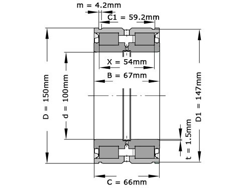 INA Cilinderlager Tweerijig SL045020 D PP 2NR C3 GA22 (100x150x67mm)