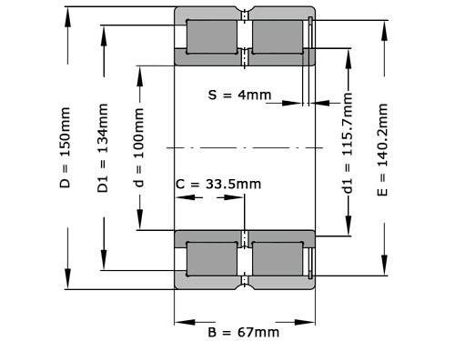INA Cilinderlager Tweerijig SL185020 (100x150x67mm)
