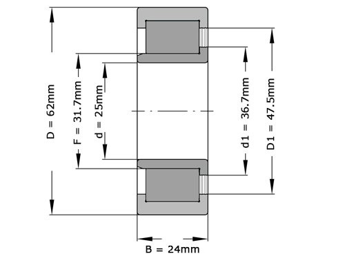 INA Cilinderlager Eenrijig SL192305 (25x62x24mm)