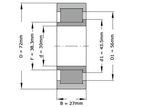 INA Cilinderlager Eenrijig SL192306 (30x72x27mm)