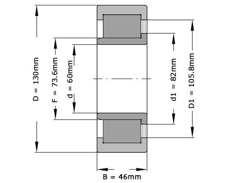 INA Cilinderlager Eenrijig SL192312 (60x130x46mm)