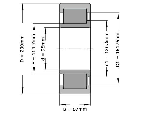 INA Cilinderlager Eenrijig SL192319 TB XL (95x200x67mm)
