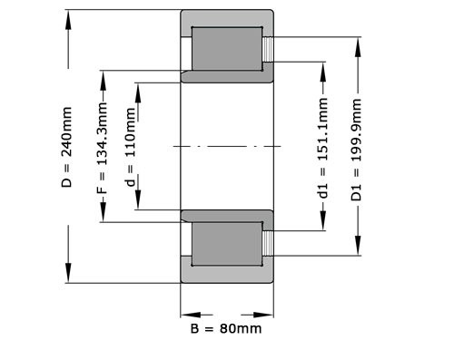 INA Cilinderlager Eenrijig SL192322 TB XL BR (110x240x80mm)