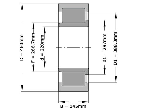 INA Cilinderlager Eenrijig SL192344 TB BR (220x460x145mm)