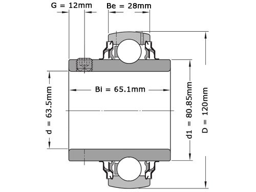 FAG Insert Lager UC213-40 (63.5x120x65.1mm)