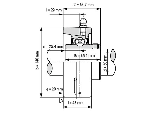 FAG Lagerblok Ovaal UCFL212 (60mm)