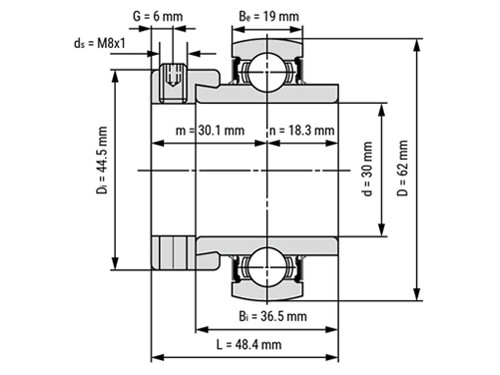 IBB Flenskogellager Vierkant UELF206 (30mm)