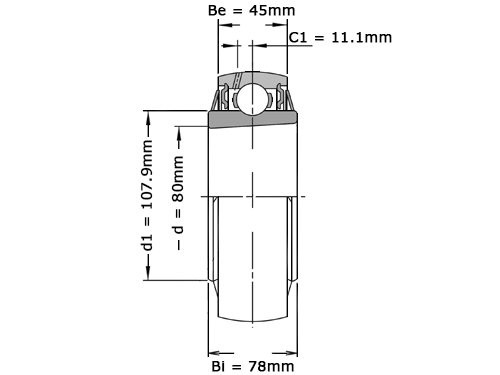 Foto van NSK Insert Lager UK316 D1 (70mm) NSK Insert Lager UK316 D1 (70mm)