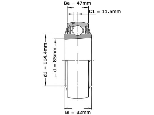 Foto van NSK Insert Lager UK317 D1 (75mm) NSK Insert Lager UK317 D1 (75mm)