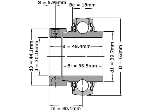 SKF Insert Lager YEL206 103 2F (30.16mm)
