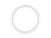 Philips LED Tube Rond 20-32W 6500K foto