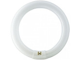 Ronde TL 32W/840 TLE Coolwhite Philips foto