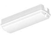 LED Portiek armatuur 8W CCT opaalkap IP65 wit foto