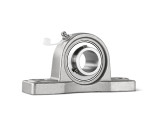 IBB Lagerblok Staand UCP216 RVS (80mm) foto