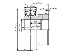 IBB Insert Lager AEL209 (45mm) foto